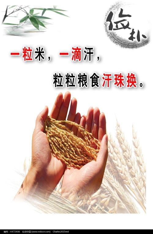 伦敦大学国王学院金融文凭证书